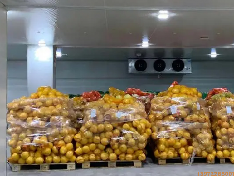 水果保鮮庫20平方需要多少錢